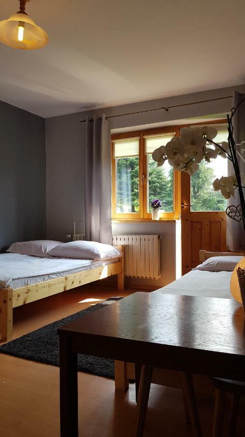 Ferienwohnung Rysiowka Poronin Exterior foto